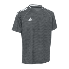 Футболка SELECT Monaco v24 player shirt s/s Grey